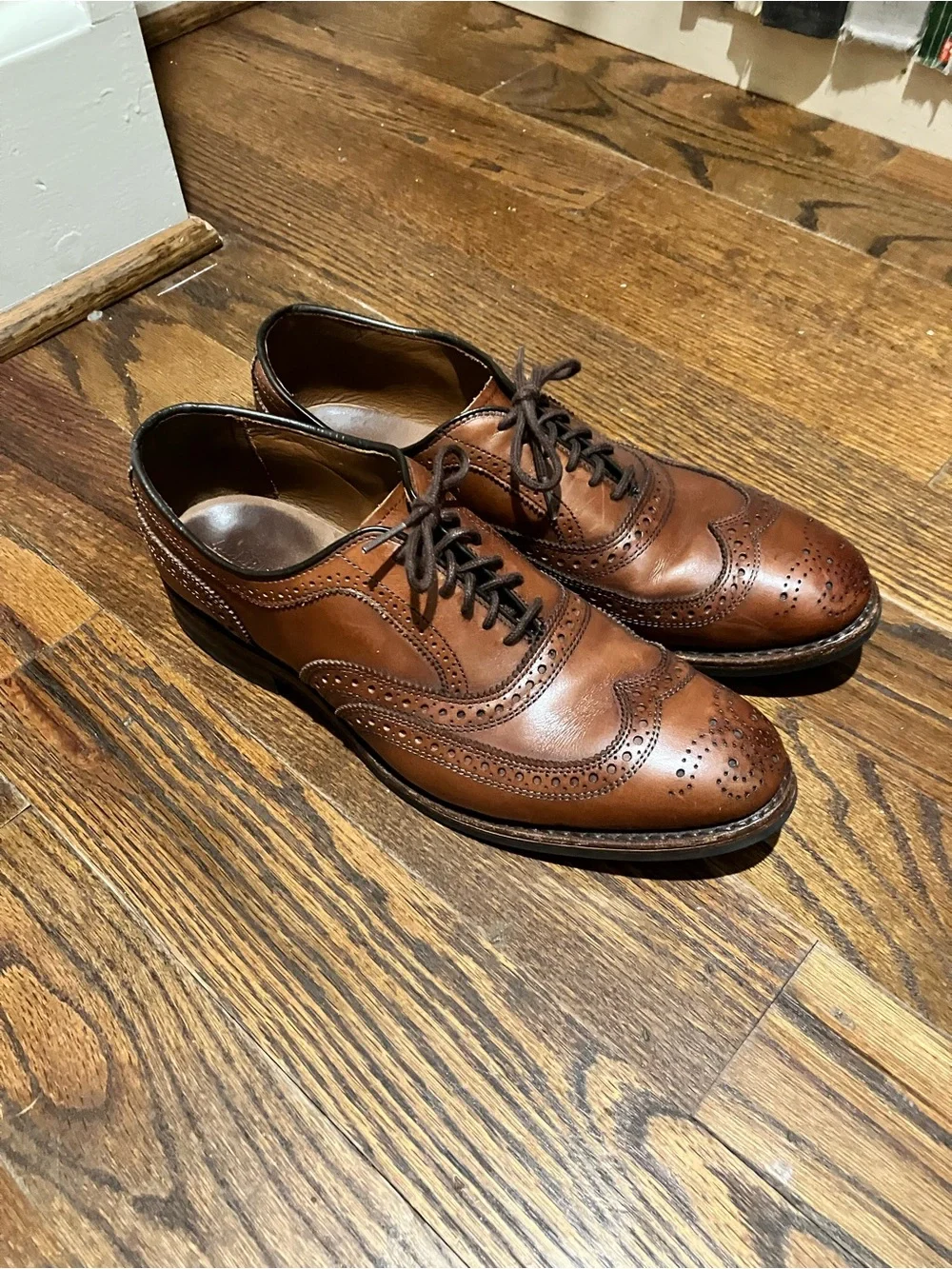 Classic Dark Brown Allen Edmond men's shoes